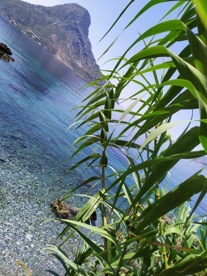 Fatolitis Studios ماسوري المظهر الخارجي الصورة